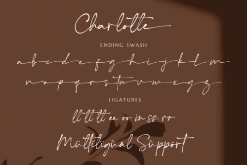 Charlotte-Font-4