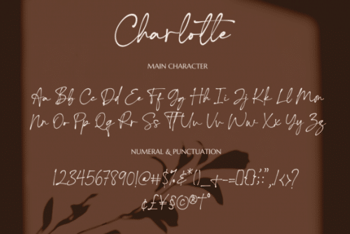 Charlotte-Font-8