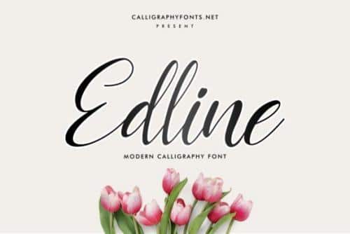 Edline-Modern-Calligraphy-Script-Font-1