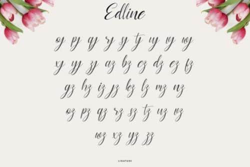 Edline-Modern-Calligraphy-Script-Font-10