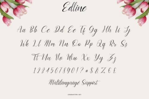 Edline-Modern-Calligraphy-Script-Font-5