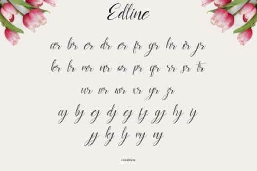 Edline-Modern-Calligraphy-Script-Font-8