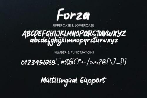 Forza-Brush-Font-5
