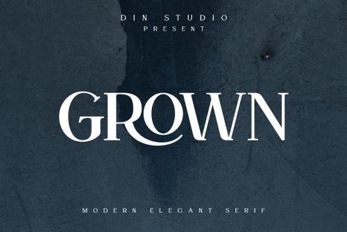 Grown-Elegant-Serif-Font-1