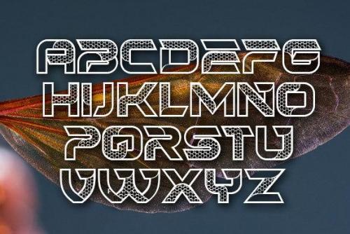 Hornets-Font-1