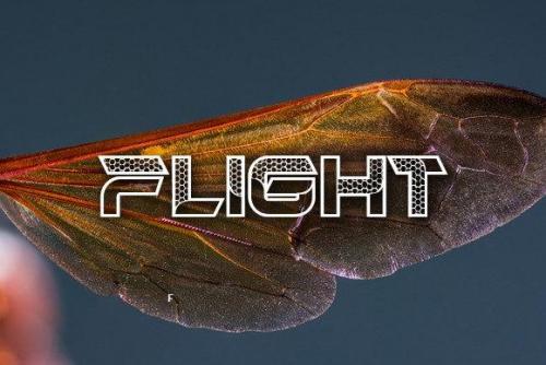 Hornets-Font-2