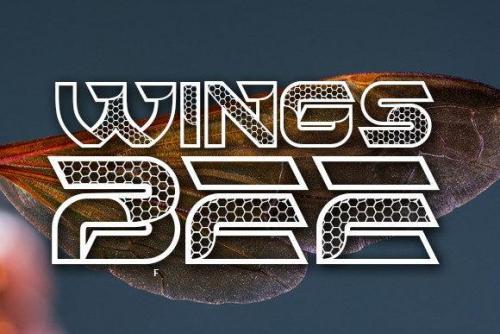 Hornets-Font-3