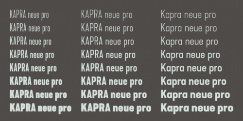 Kapra-Neue-Pro-5