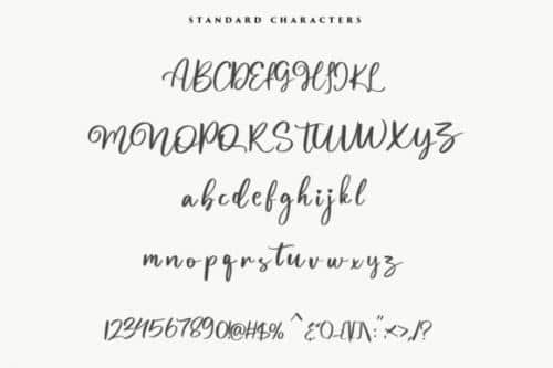 Magnolia-Bold-Calligraphy-Script-Font-10
