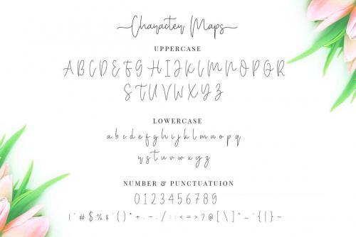 Miya-Wayne-Lovely-Script-Font-14