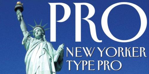 New-Yorker-Type-Pro-Font-1