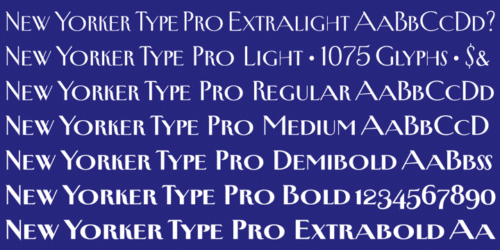 New-Yorker-Type-Pro-Font-7