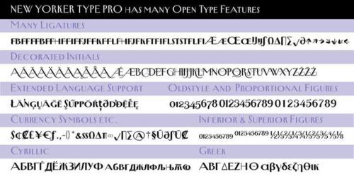 New-Yorker-Type-Pro-Font-8
