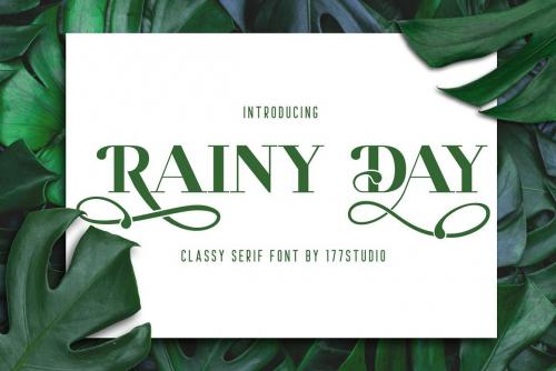Rainy-Day-Classy-Serif-Font-1