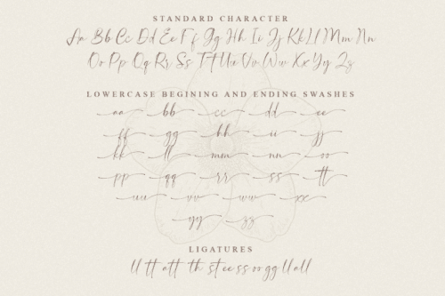 Sophia-Morgant-Calligraphy-Font-3