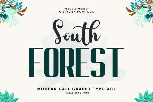 South-Forest-Sans-Script-Font-Duo-1