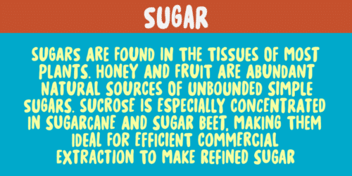 Sugar-Free-Font-4
