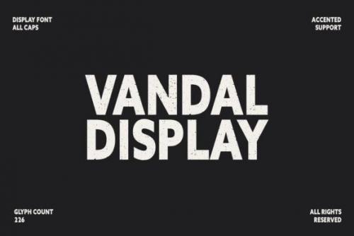 Vandal-Sans-Serif-Display-Font-1
