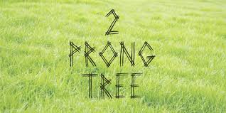 Prong Tree Font
