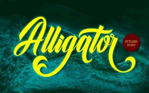 Alligator Script Font