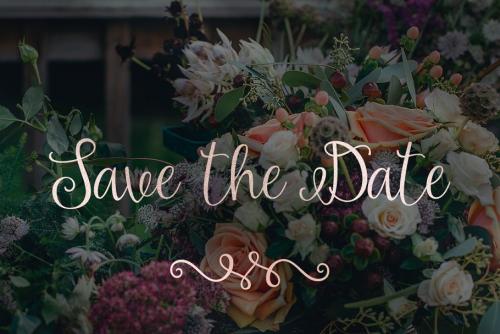 Amelia Script Font