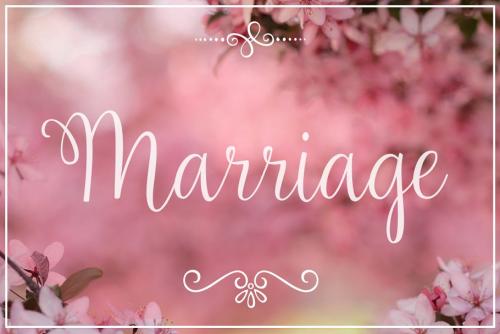 Amelia Script Font