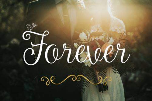 Amelia Script Font