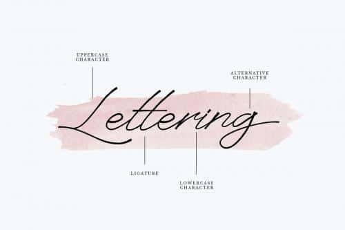 Anaheim Script Font