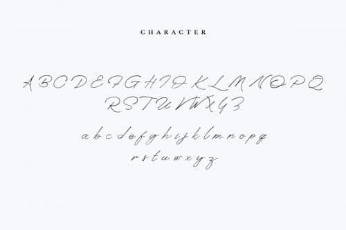 Anaheim Script Font