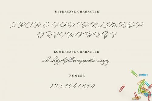 Anaheim Script Font