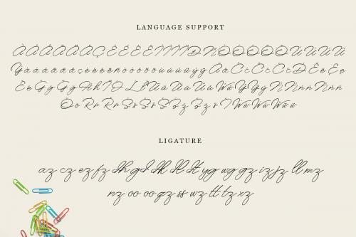 Anaheim Script Font