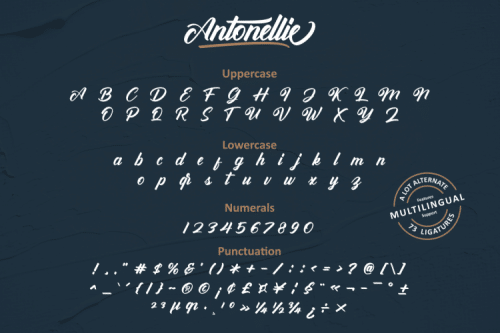Antonellie Calligraphy Font