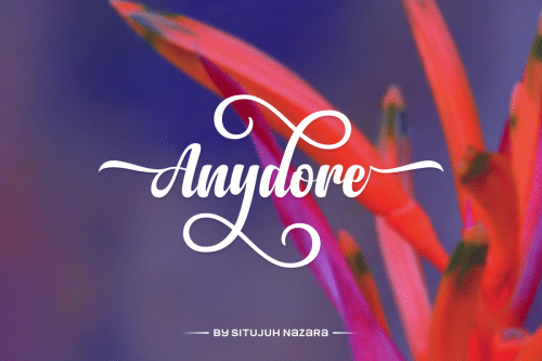 Anydore Script Font