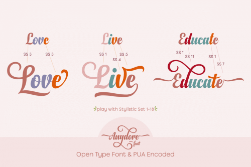 Anydore Script Font
