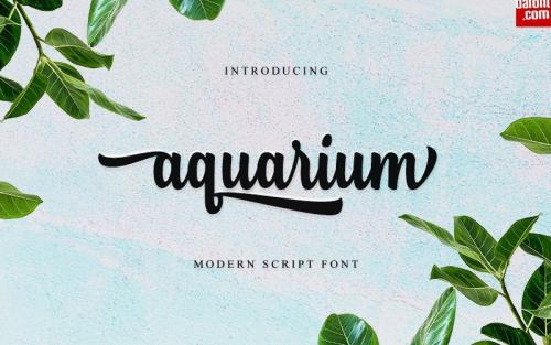 Aquarium Script Font