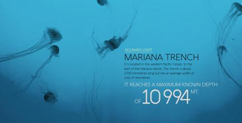 Aquawax Font Family