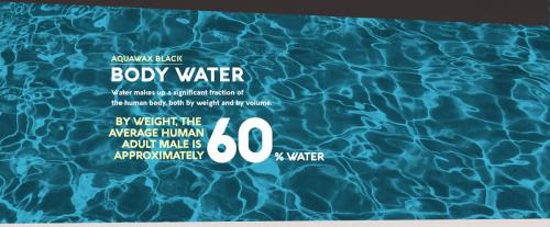 Aquawax Font Family