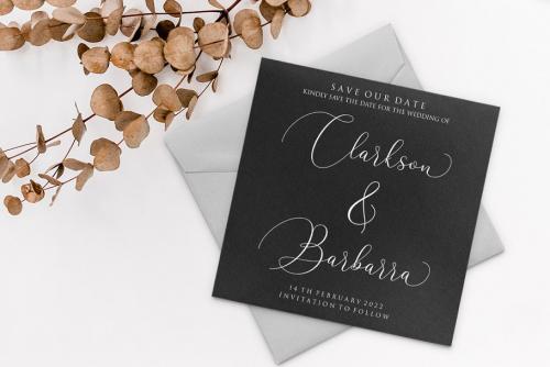 Argentina Calligraphy Font