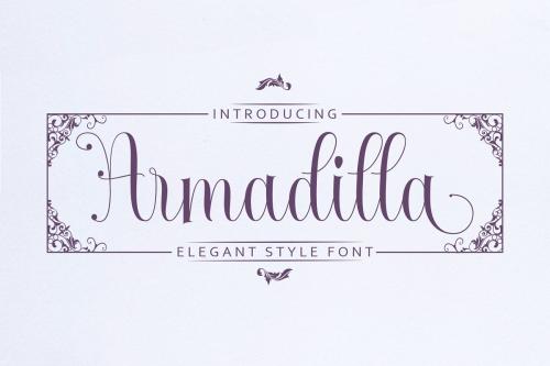 Armadilla Script Font