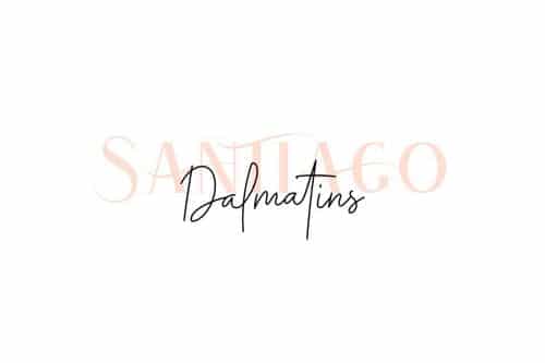 Atlane Serif Font