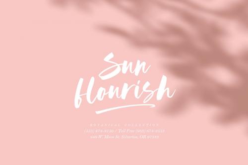 Austine Brush Font