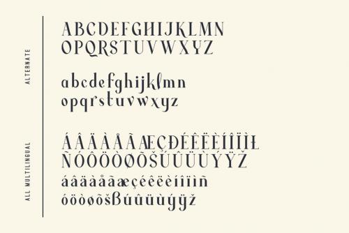 Average Serif Font
