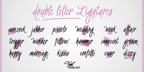 BachelorScript Font