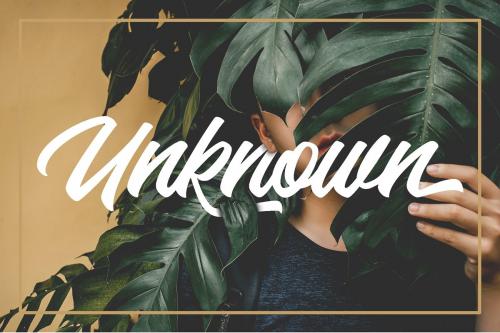 Backhill Bold Script Font