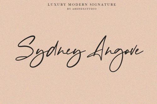 Baekrajan Luxury Modern Signature Font