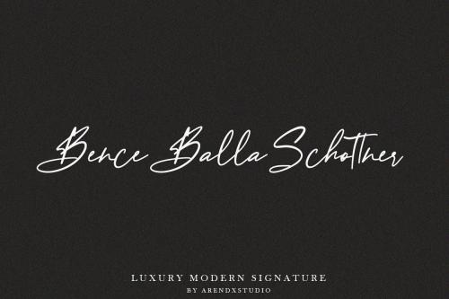 Baekrajan Luxury Modern Signature Font