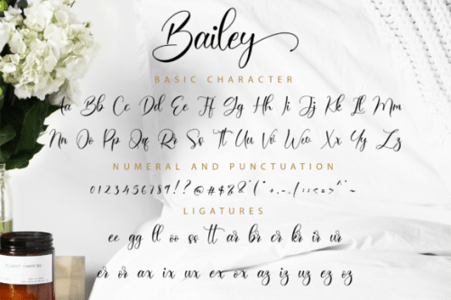 Bailey Calligraphy Font