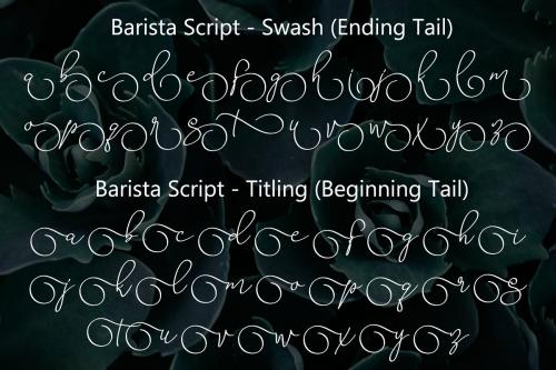 Barista Script Font