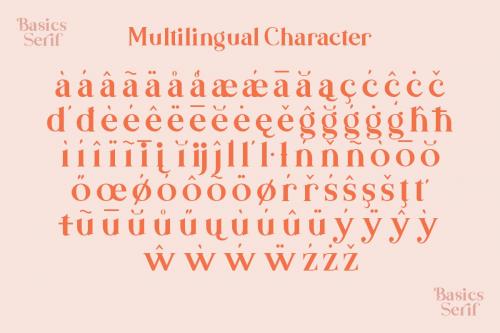 Basics Serif Script Font