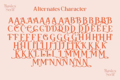 Basics Serif Script Font